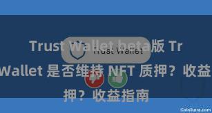 Trust Wallet beta版 Trust Wallet 是否维持 NFT 质押？收益指南