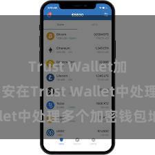 Trust Wallet加密钱包 如安在Trust Wallet中处理多个加密钱包地址？