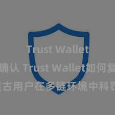 Trust Wallet交易未确认 Trust Wallet如何复古用户在多链环境中科罚和兑换金钱？