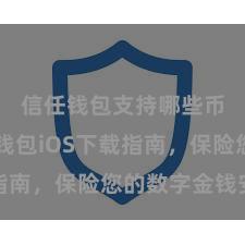 信任钱包支持哪些币 信任钱包iOS下载指南，保险您的数字金钱安全